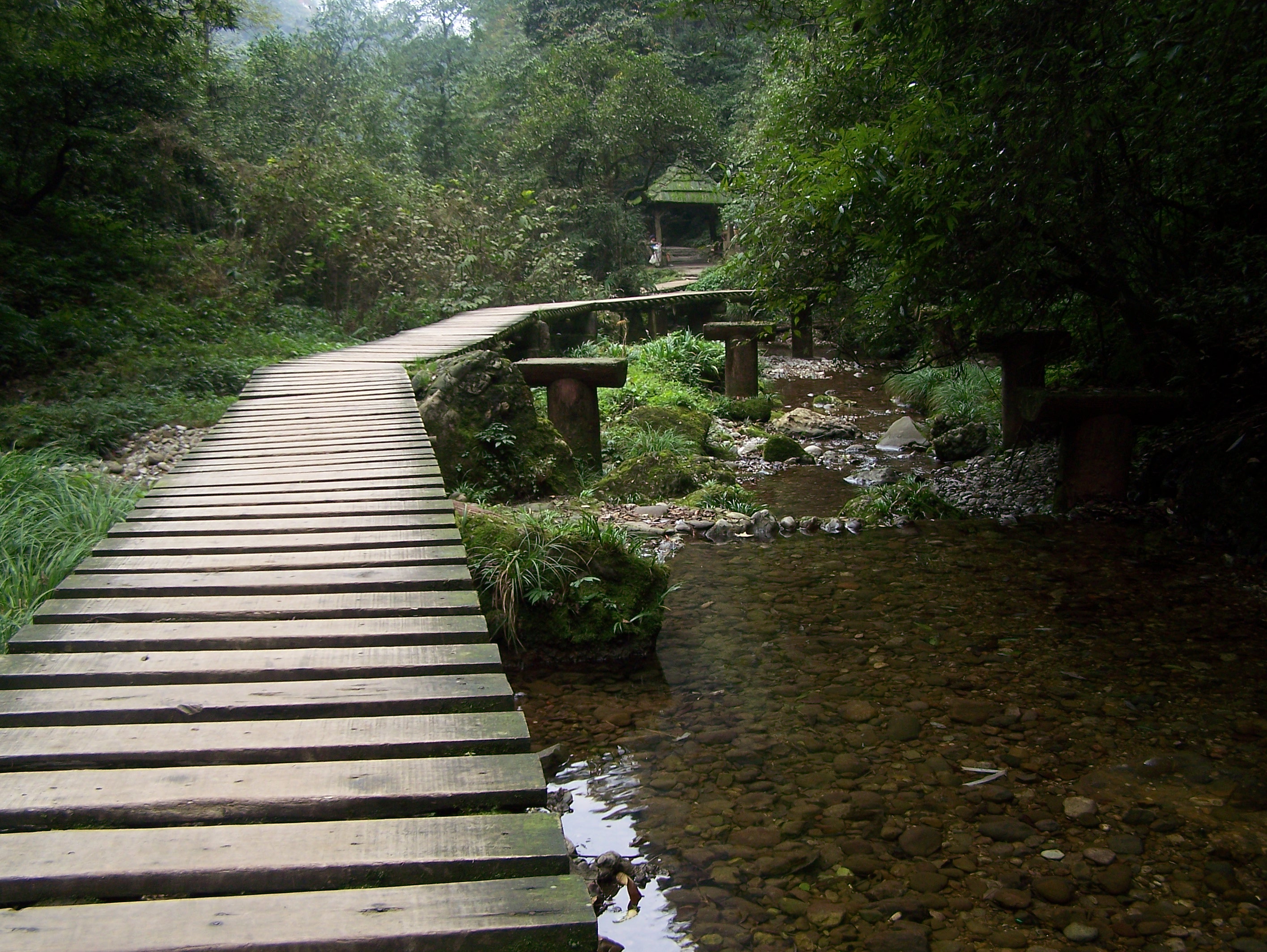 后山溪谷木栈道